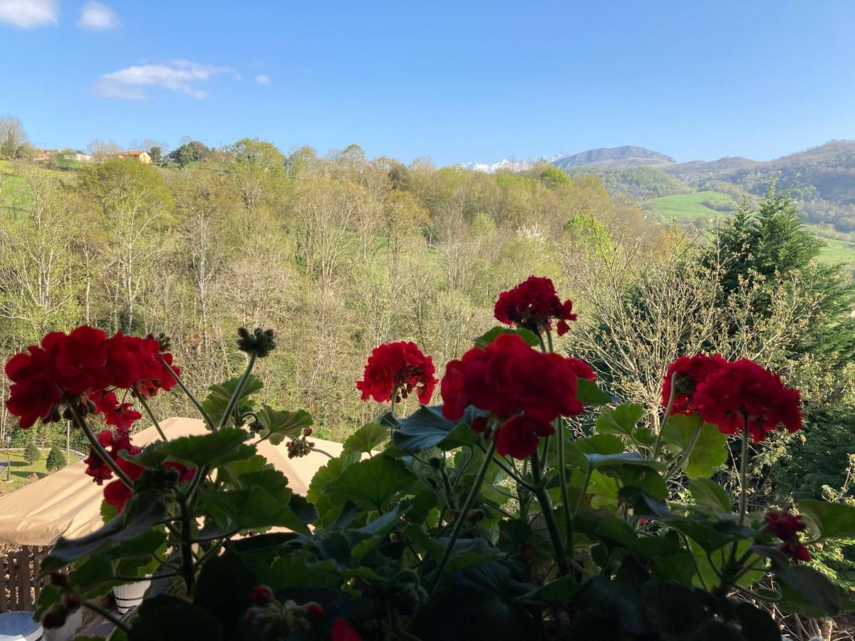 Casa Elena Cangas De Onis Con Wifi Y Parking Gratuito Cangas de Onís Exterior foto