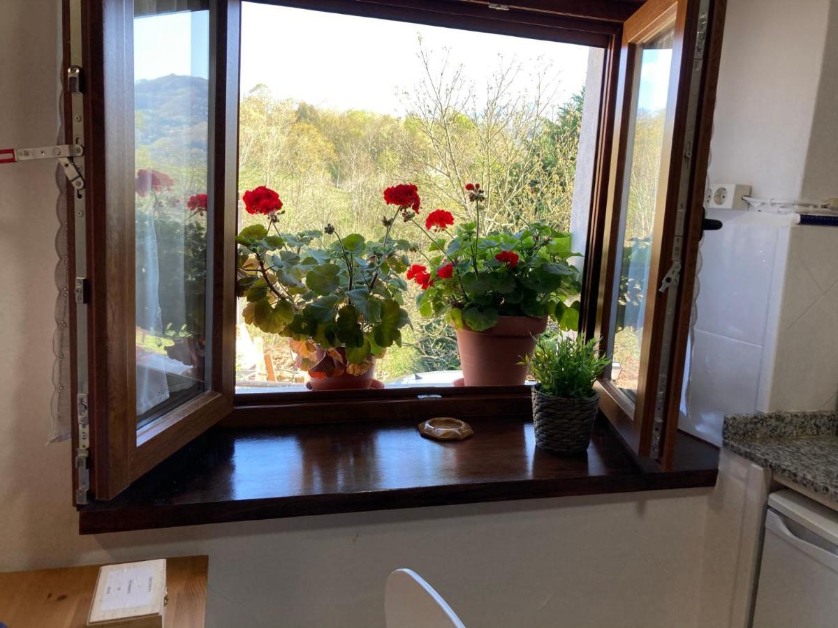 Casa Elena Cangas De Onis Con Wifi Y Parking Gratuito Cangas de Onís Exterior foto
