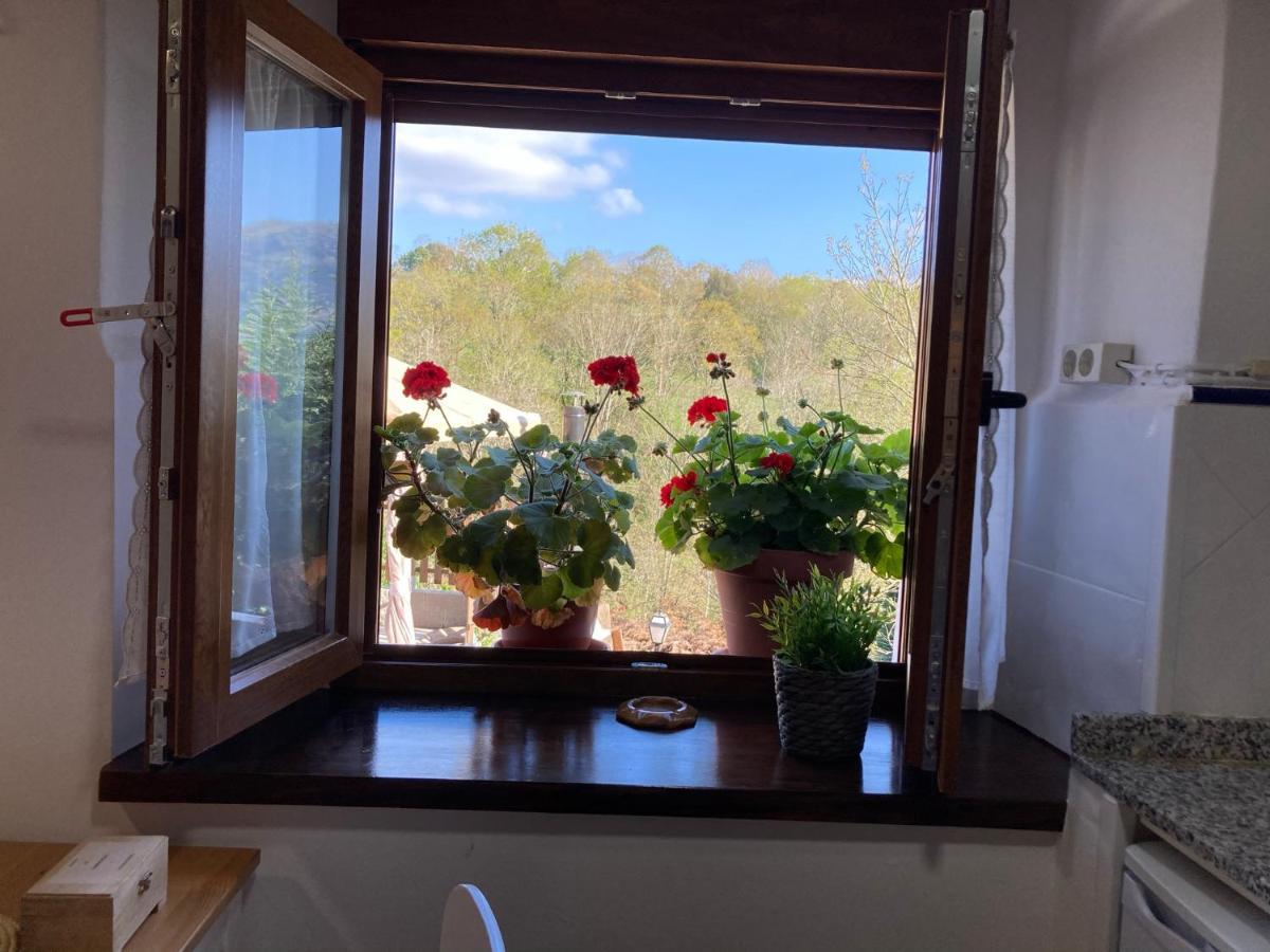 Casa Elena Cangas De Onis Con Wifi Y Parking Gratuito Cangas de Onís Exterior foto