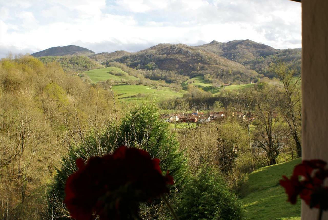 Casa Elena Cangas De Onis Con Wifi Y Parking Gratuito Cangas de Onís Exterior foto