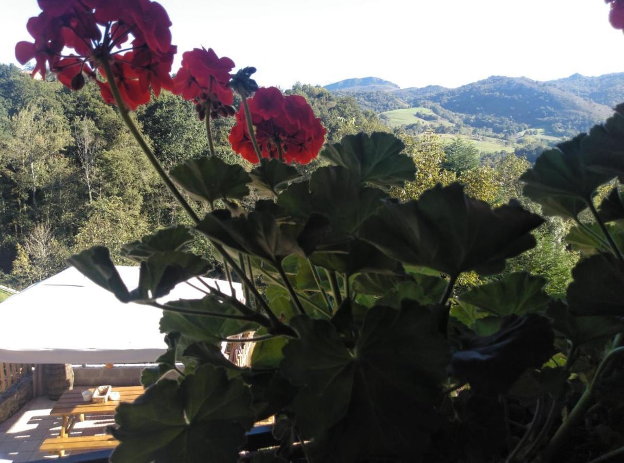 Casa Elena Cangas De Onis Con Wifi Y Parking Gratuito Cangas de Onís Exterior foto